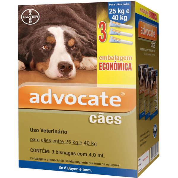 Advocate para cães