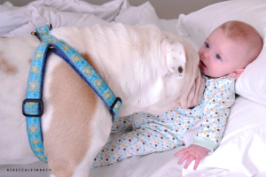 harperbaby