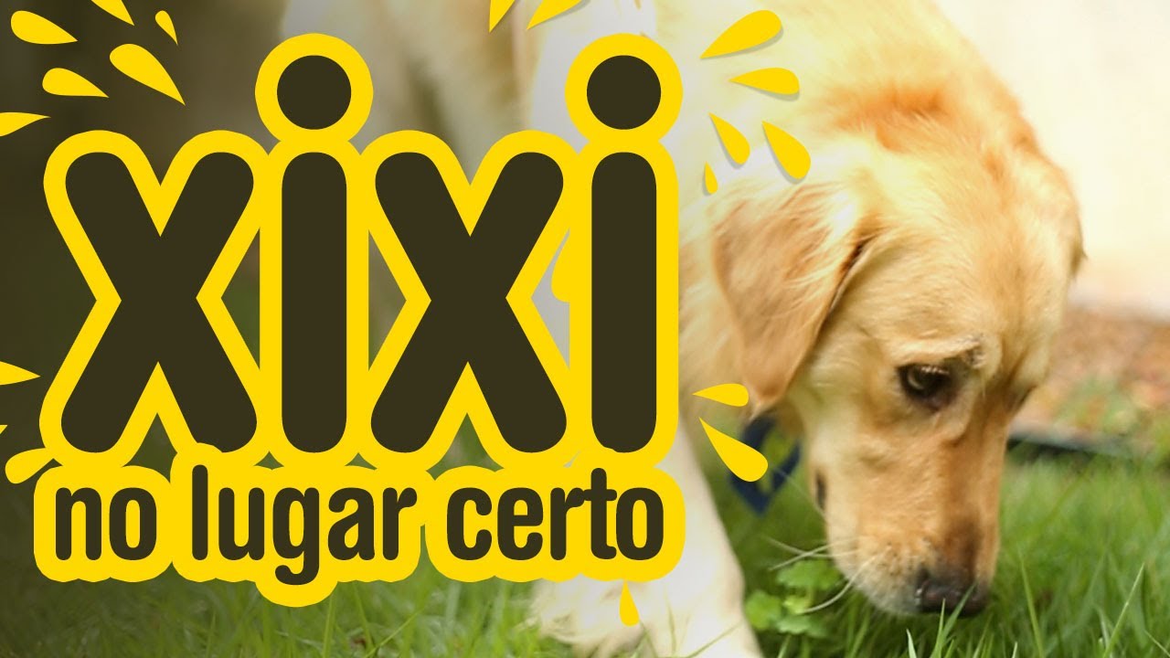 Xixi no lugar certo!