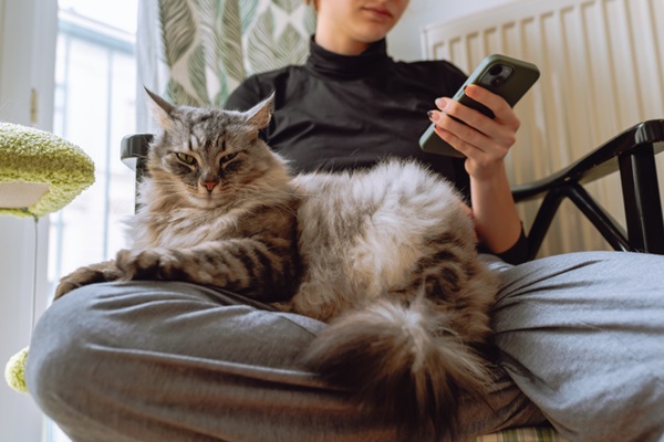 Aplicativo da Petlove: veja as vantagens e benefícios!