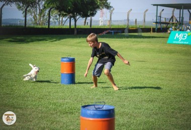 É hora de Barrel Dog!