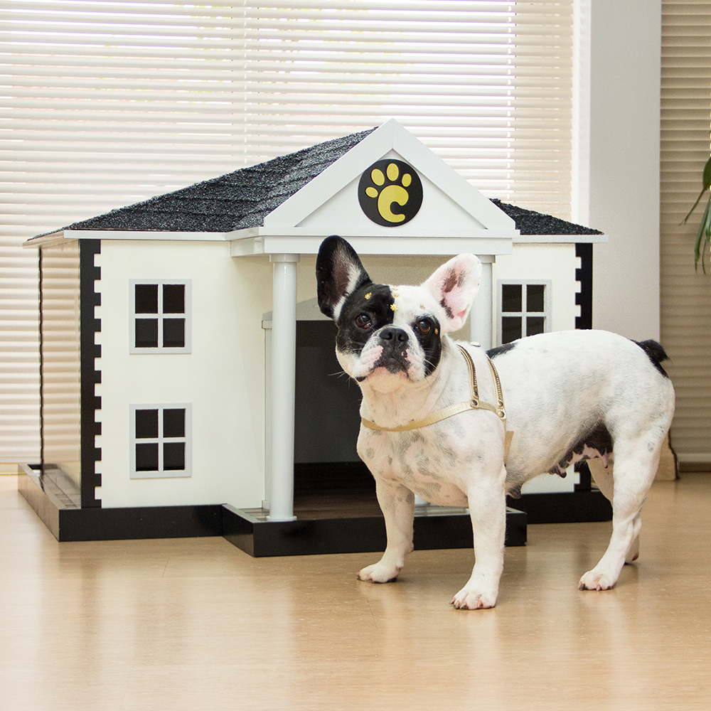 15 casinhas de cachorro diferentonas