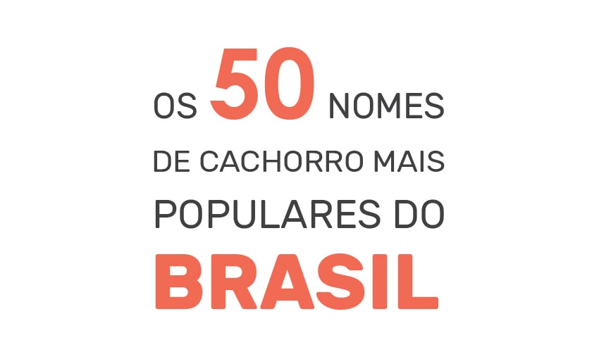 50 nomes de cachorro mais populares de 2017