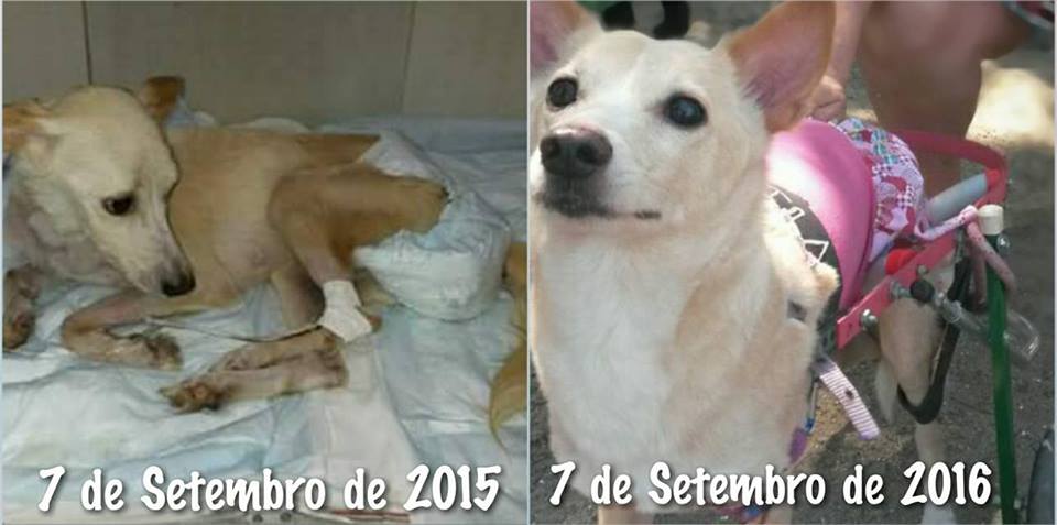 vida1ano