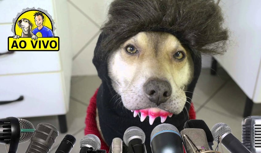 7 vídeos para lembrar para sempre do Ninão