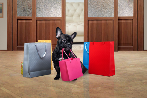 Cachorro com sacola de compras - lugares pet friendly no rio de janeiro