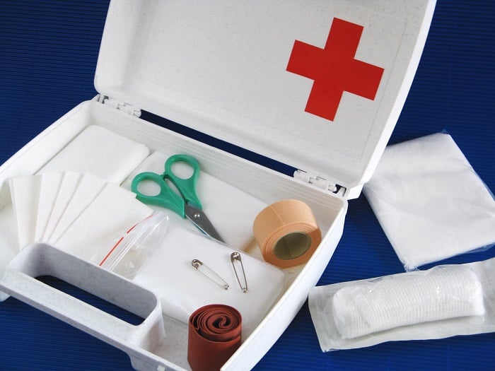 Aprenda a montar um kit de primeiros socorros para pets