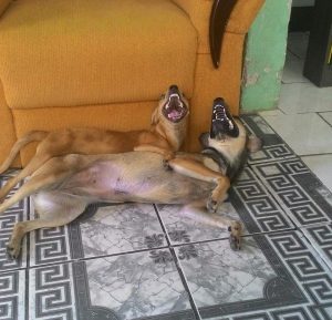 C3meCeYWAAAw0zX