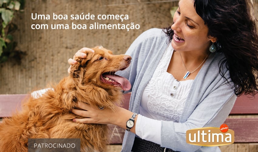 Alimento superpremium para cães: qual a diferença?