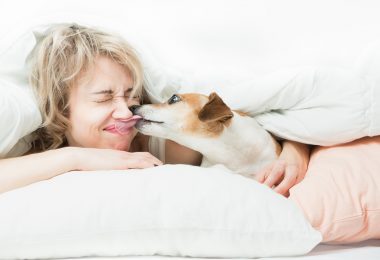 Beijar seu pet faz mal: mito ou verdade?