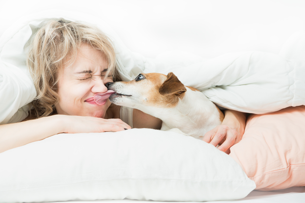 Beijar seu pet faz mal: mito ou verdade?