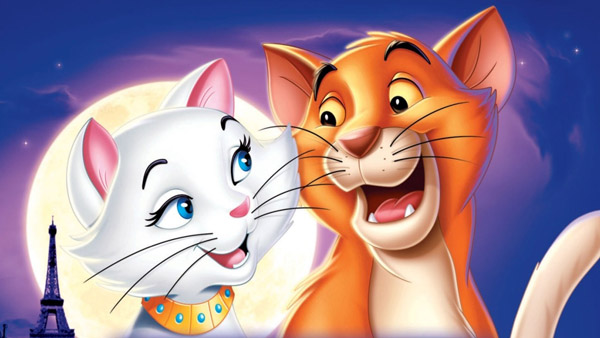 Filmes com gatos: 7 opções para assistir com a família