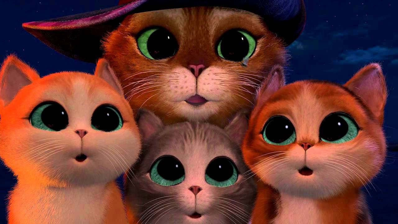 Filmes com gatos: 7 opções para assistir com a família