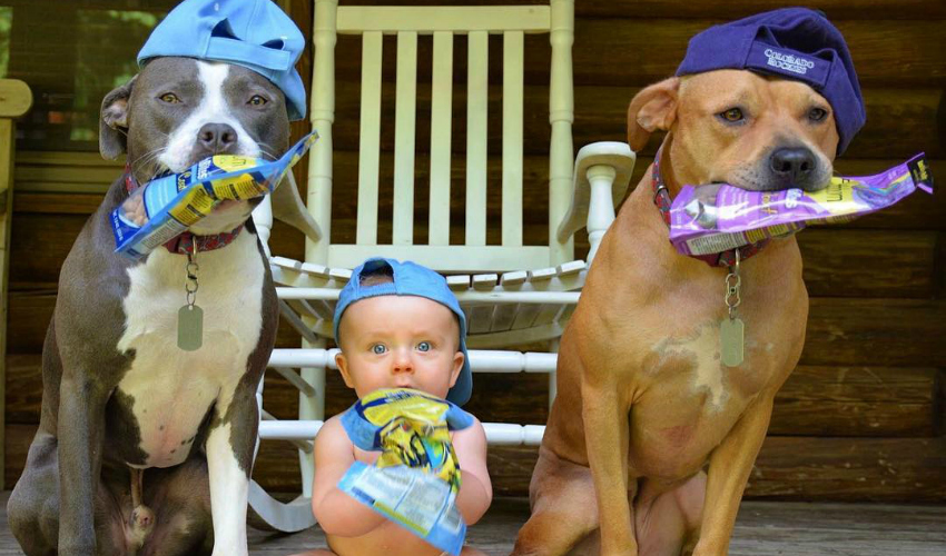 Cães + crianças: os 10 perfis mais fofos do Instagram!