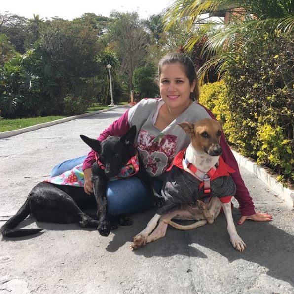 Entrevista com Danielle Nogueira, mãe do Gui (@caozinhogui)