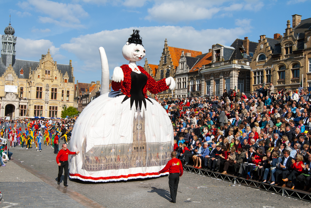 Festival de gatos na Bélgica: a história da Kattenstoet