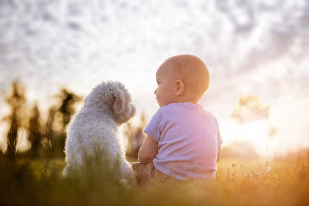 Você sabia que os animais contribuem para a saúde dos bebês ?