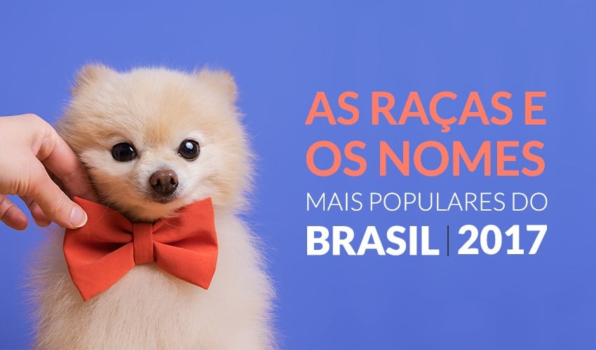 Censo Canino 2017: consulte nomes, raças e mais!