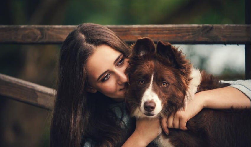 Dermatite em cachorros e gatos – sintomas e tratamento
