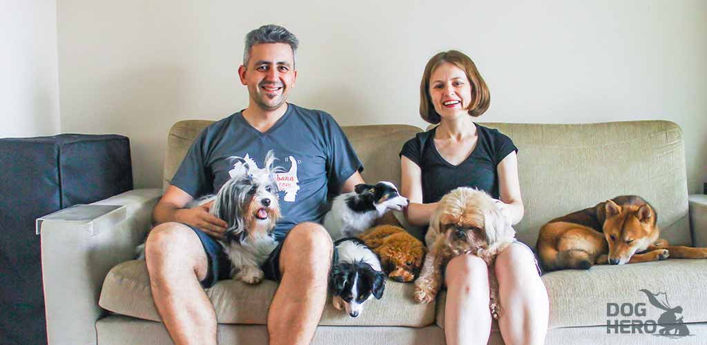 Cuidados para a chegada de filhotes de Hamster