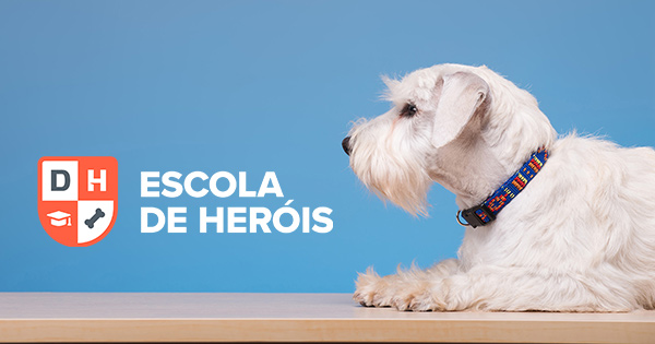Como evitar que crianças sejam mordidas por cães