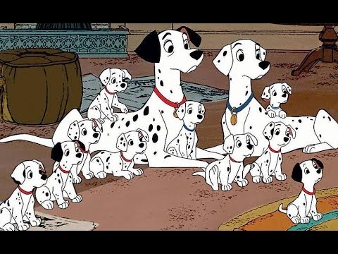 4 filmes com cachorros para assistir com seu cão