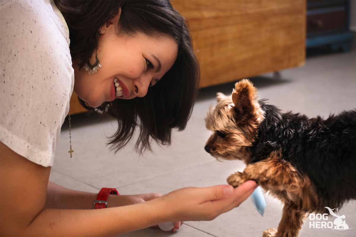 Cachorros machos são mais bravos do que as fêmeas?