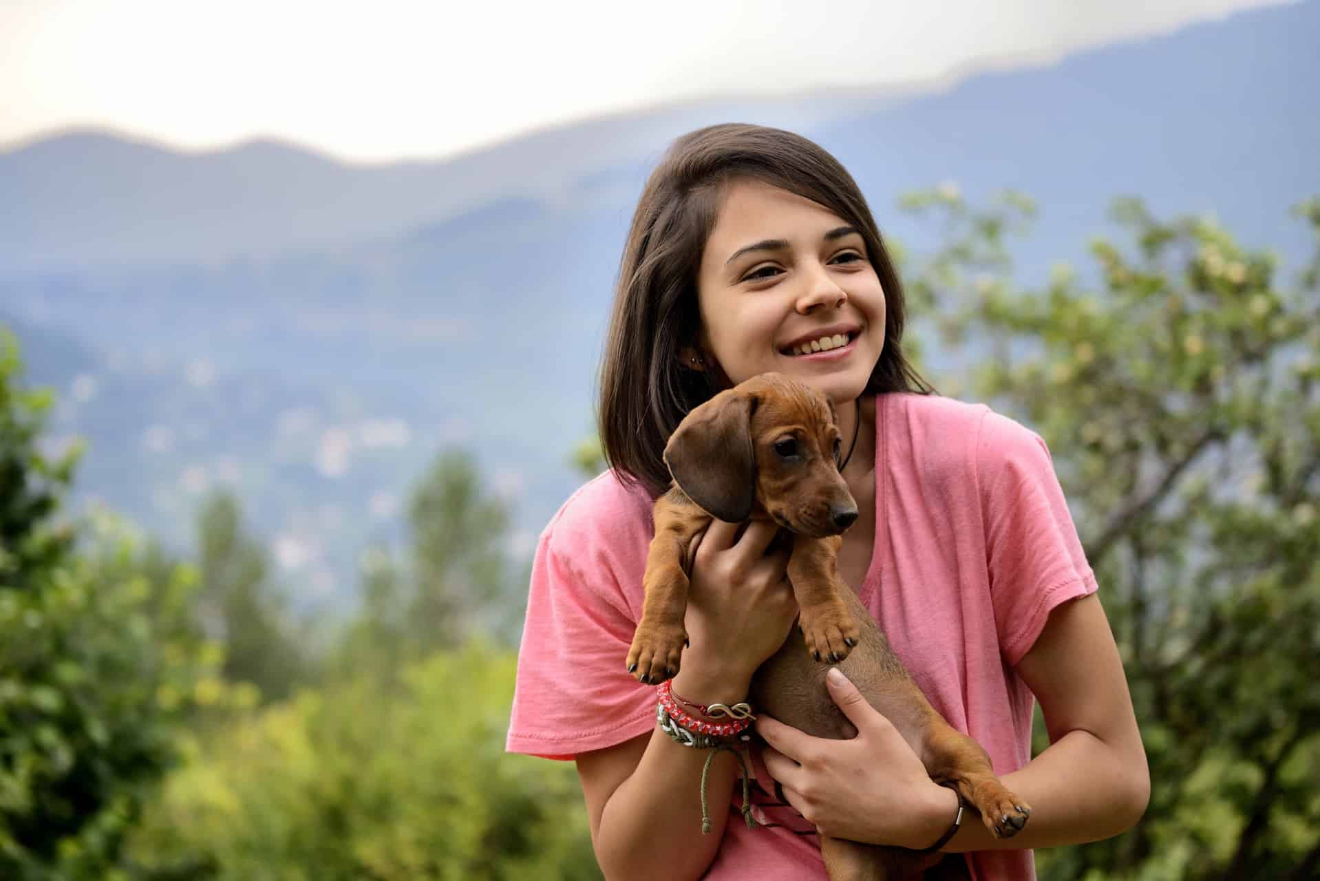 Como adestrar cachorro filhote: saiba tudo sobre