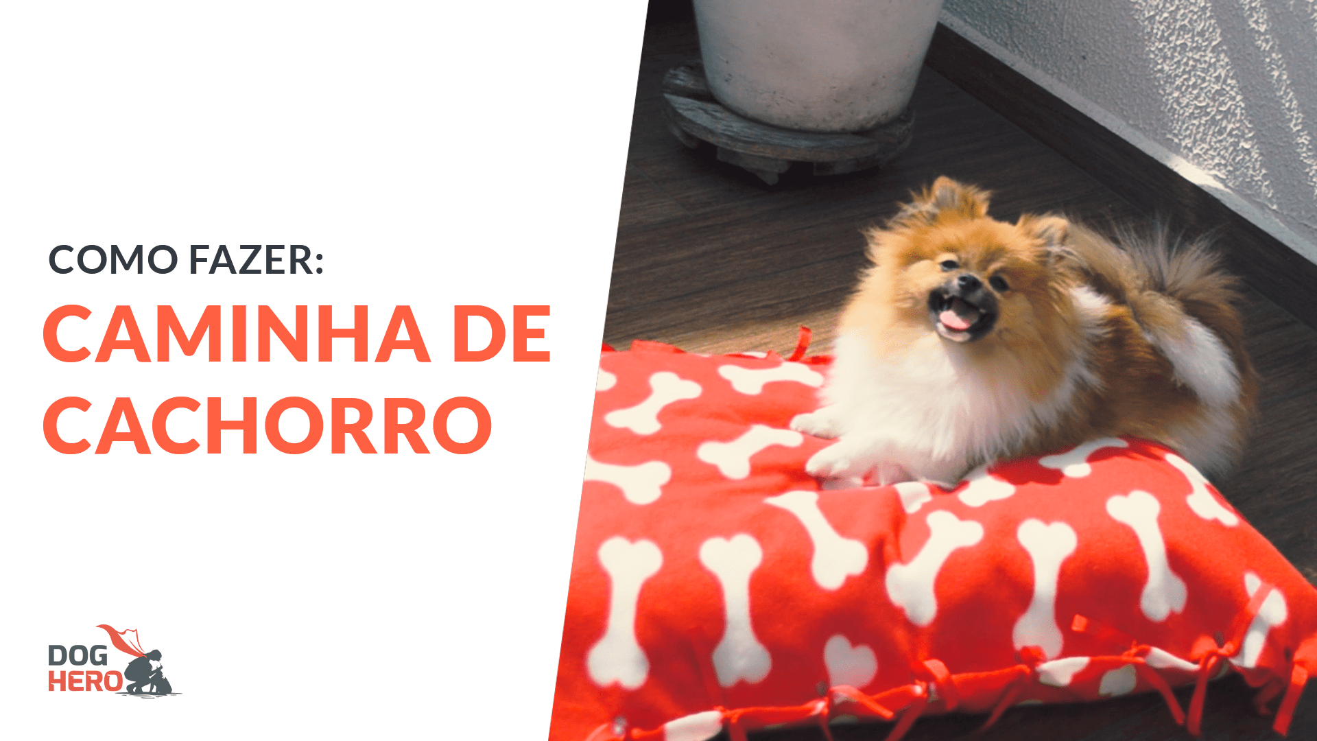 Como fazer caminha de cachorro: passo a passo simples