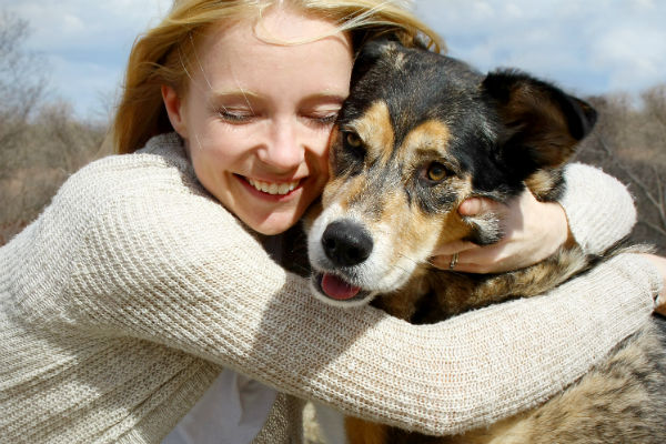 Cinco motivos para adotar um cachorro adulto