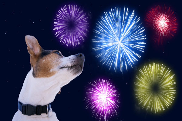 Prefeito de São Paulo anuncia a proibição de fogos de artifício