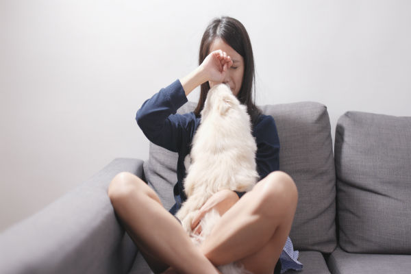 Pesquisa mostra que cachorros gostam de confortar humanos