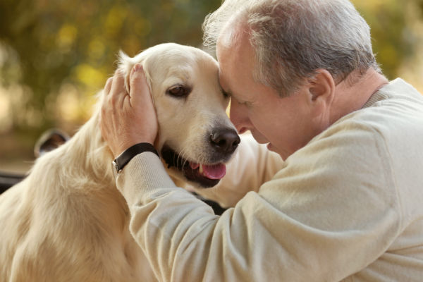 Alzheimer: cachorros e gatos também podem ter?