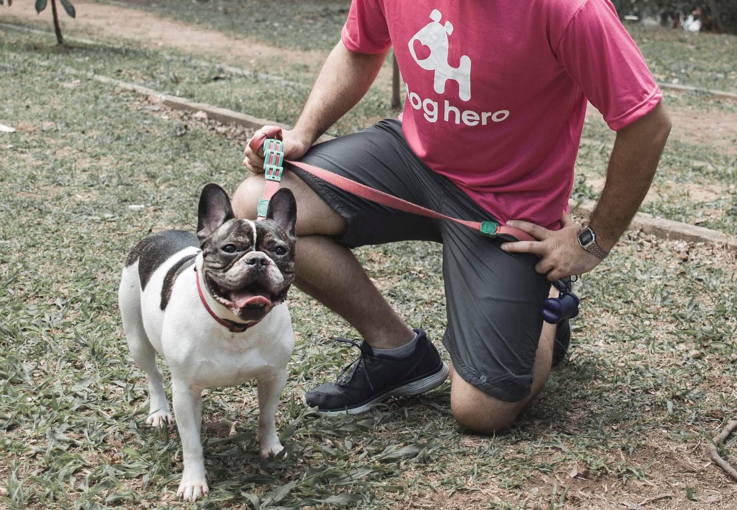 cachorro feliz dog walker doghero