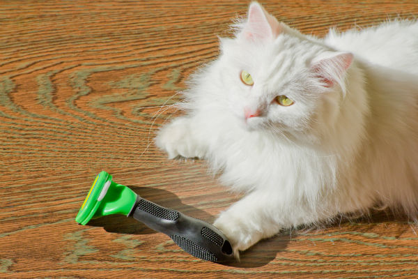 Furminator com desconto