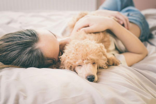 Dormir com o pet pode fazer mal ao seu sono