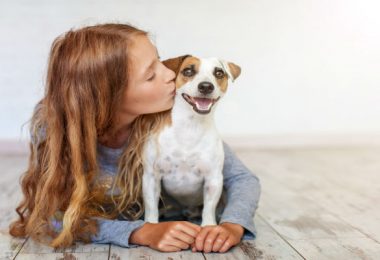 Universidade cria cartilha sobre guarda responsável de cães