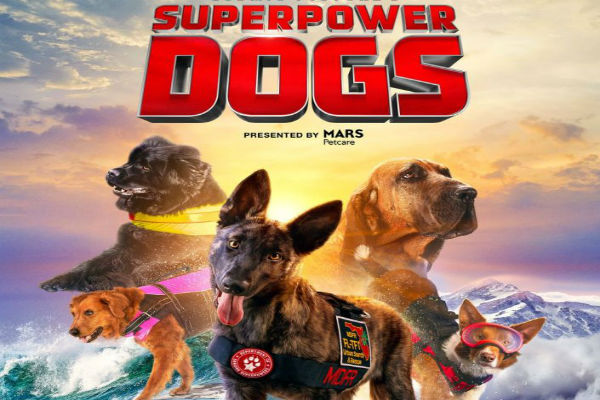 Documentário sobre cães heróis estreia hoje nos EUA