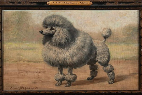 Conheça o Museu dedicado aos cachorros