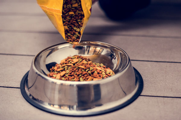 Ração sempre fresca é melhor para seu pet