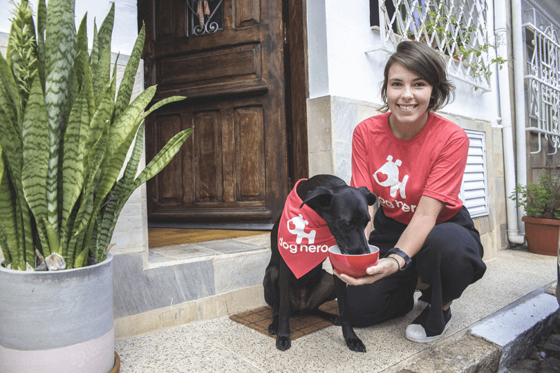 Patê caseiro para cachorro