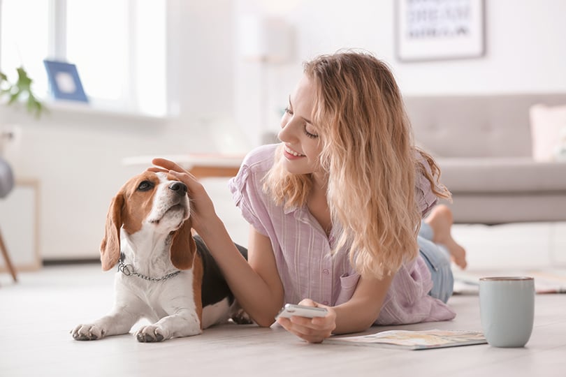 Como manter o pelo do seu gato bonito e brilhante