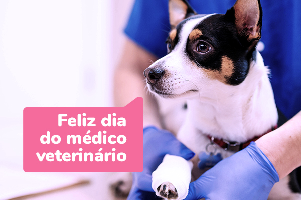 Hoje é Dia do Médico Veterinário!