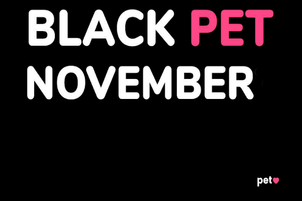 Confira os produtos mais vendidos na nossa Black Pet November de 2018