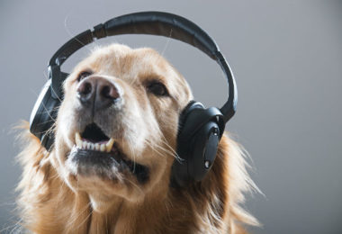 Ouça o terceiro episódio do nosso podcast sobre obesidade