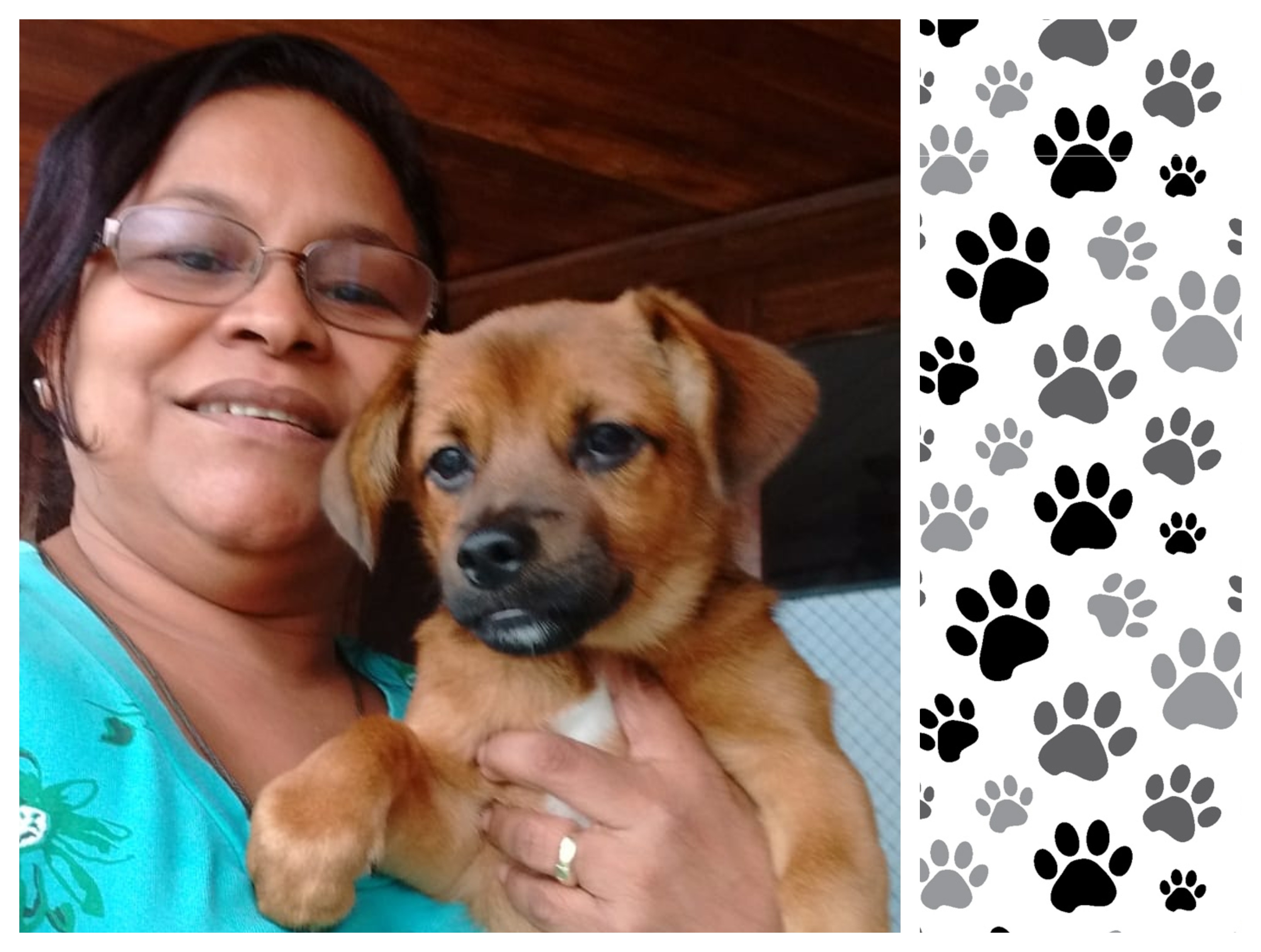 Conheça a Eronildes, a petlover com a Assinatura mais antiga