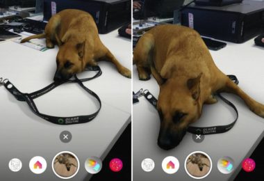 Filtros de animais em “realidade aumentada” viralizam nas redes sociais