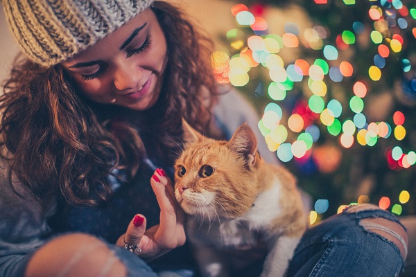 Seu gato pode te ajudar nessas três simpatias de Ano Novo