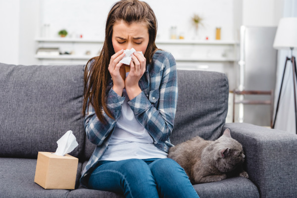 Alergias a pets são comuns, mas têm solução