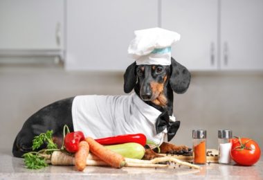 Receita de petisco vegetariano para cachorro